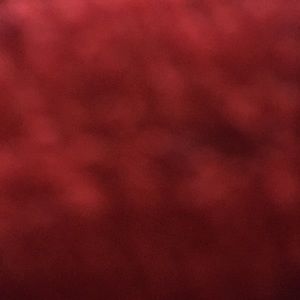 Meet your Posher, Laney